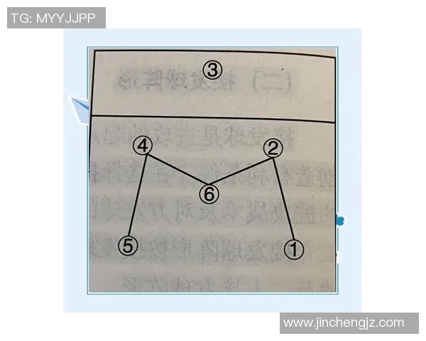 南京排球队进攻战术深度解析与实战应用探讨